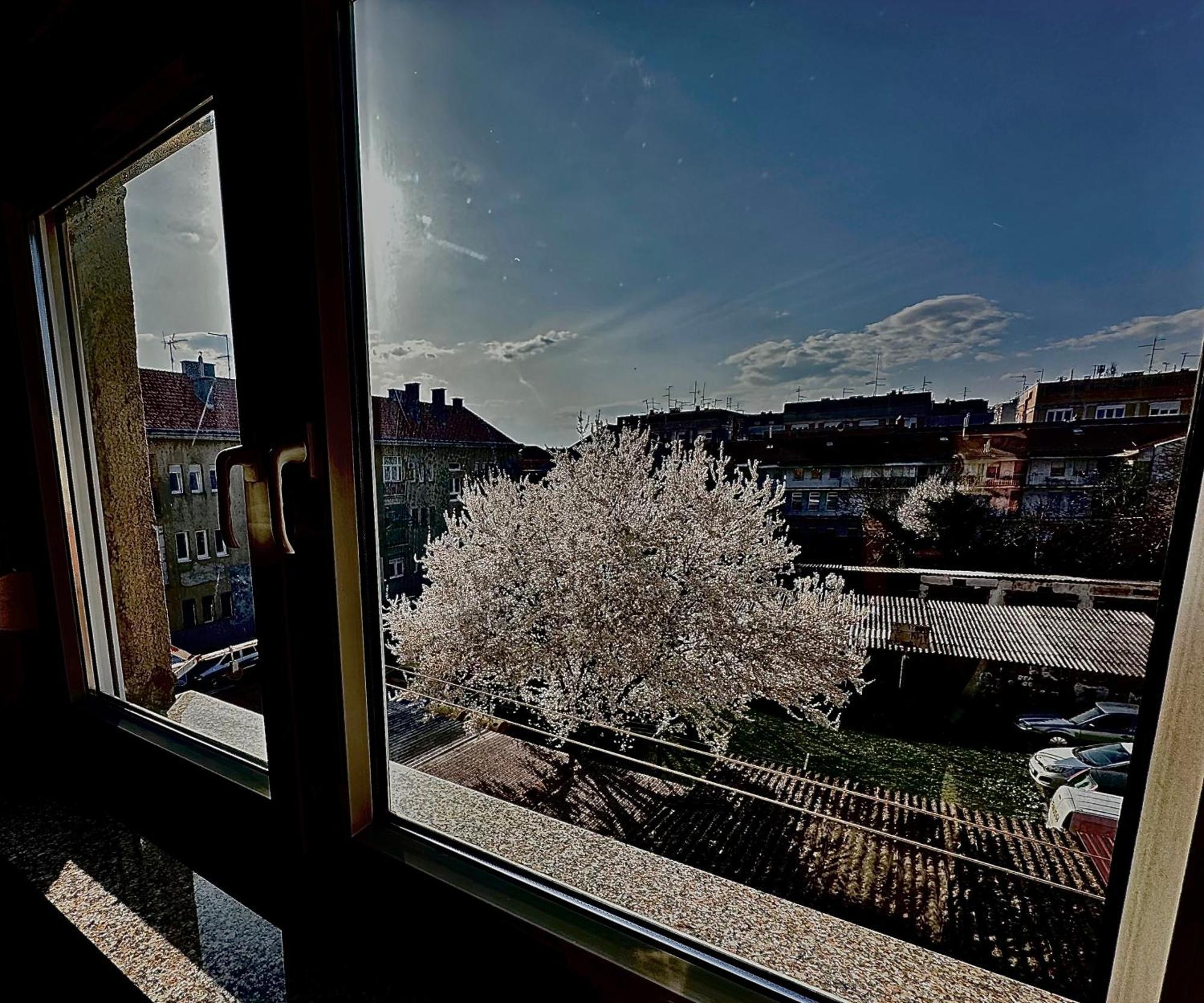 Apartman Pannonica Pin 0-24H Slavonski Brod Dış mekan fotoğraf